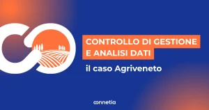 Controllo di gestione e analisi dati