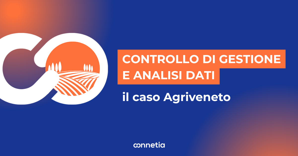 Controllo di gestione e analisi dati